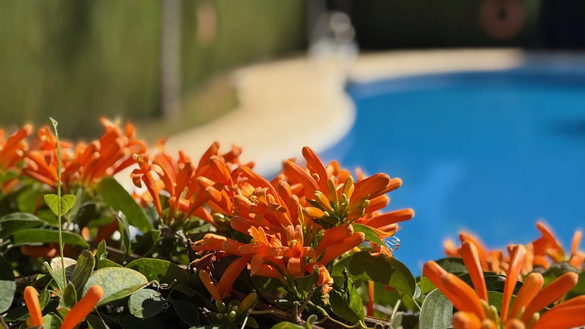 Adosado en venta en Estepona