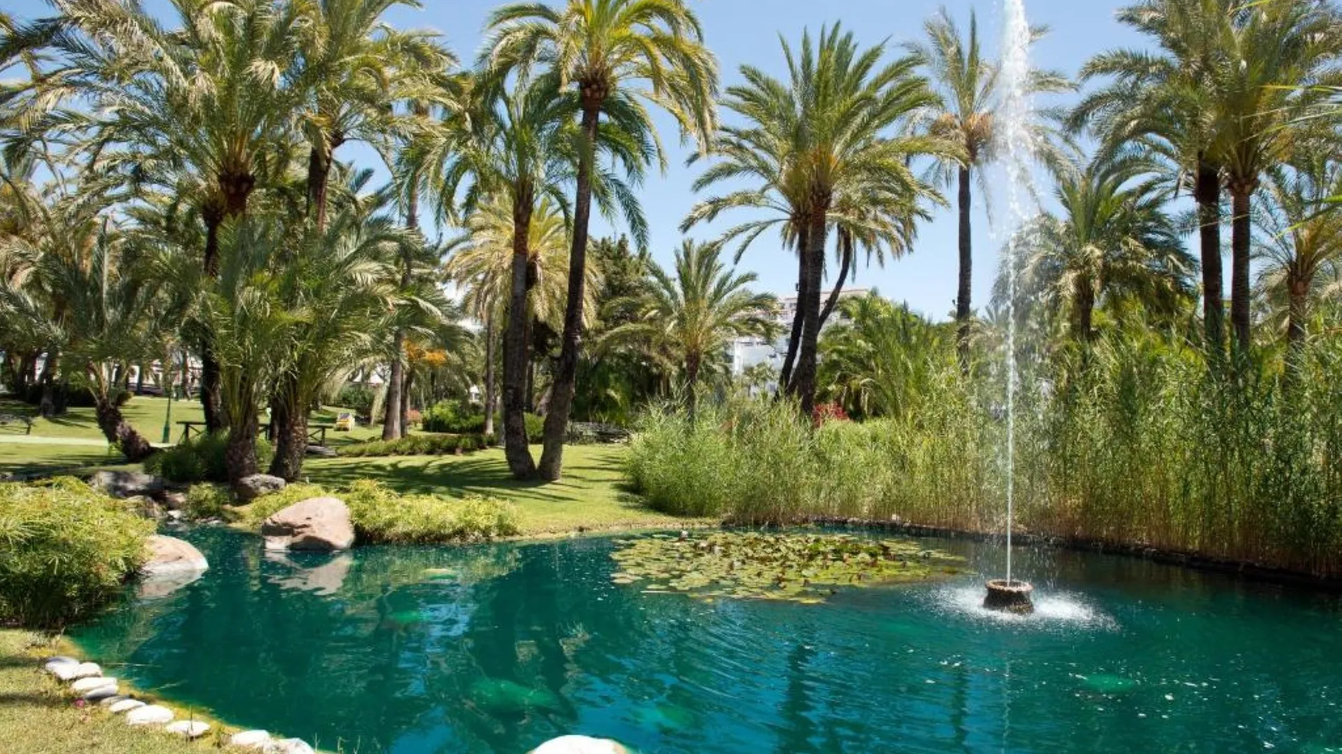 2 bedrooms ground floor apartment in Playas del Duque for sale