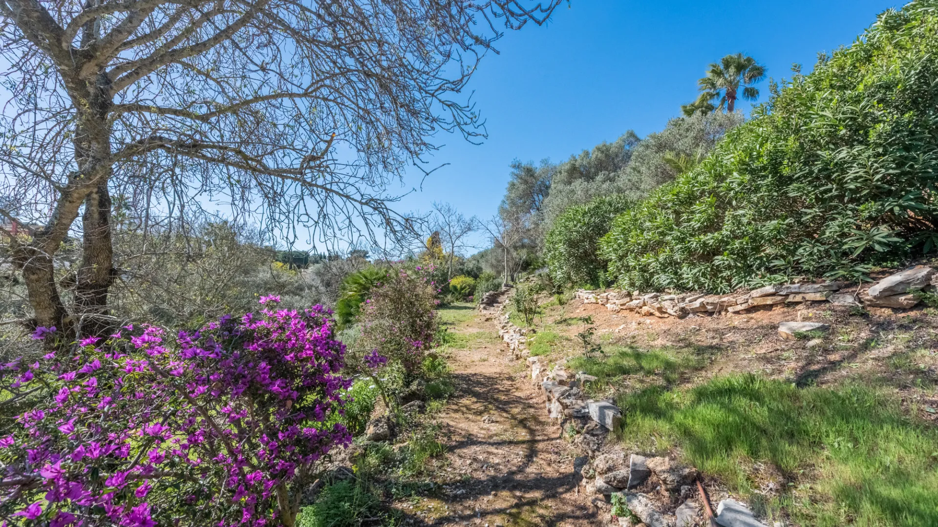 Se vende villa en Sotogrande Costa Central con 5 dormitorios