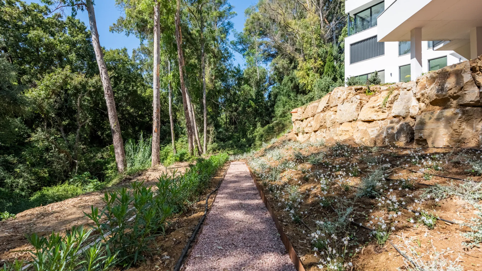 For sale 5 bedrooms villa in Zona F