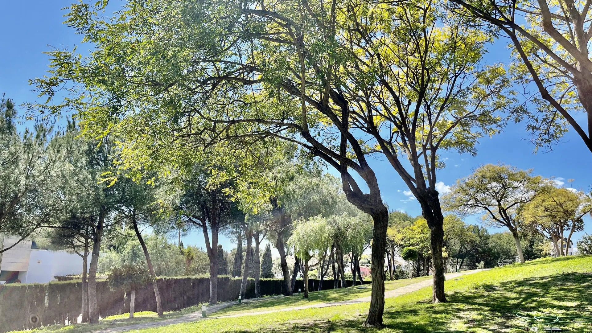For sale apartment in Andalucia Alta