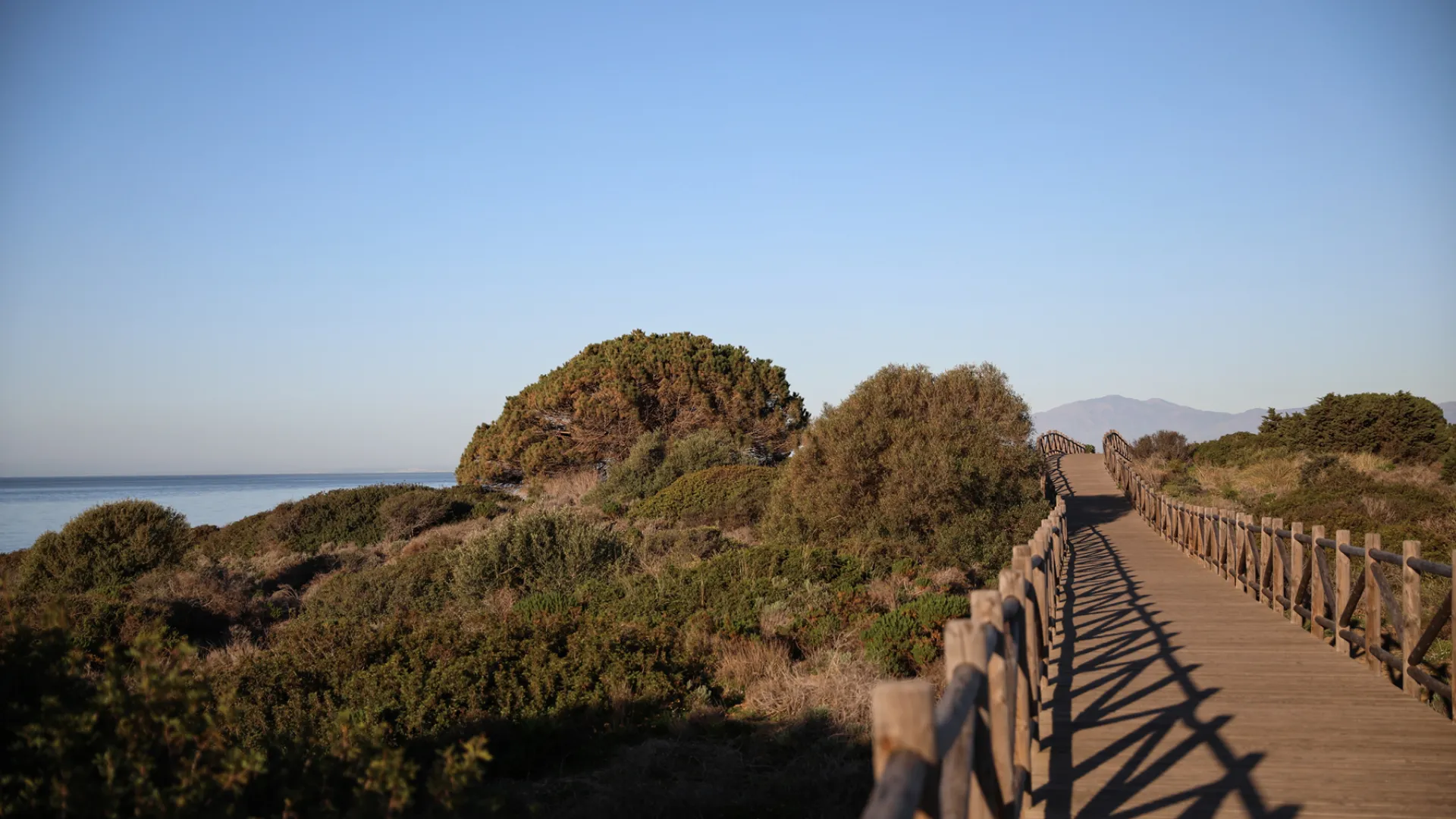 For sale apartment with 3 bedrooms in Cabopino