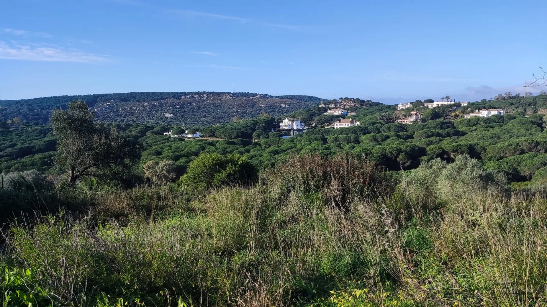 Almenara, parcela en venta de 6 dormitorios