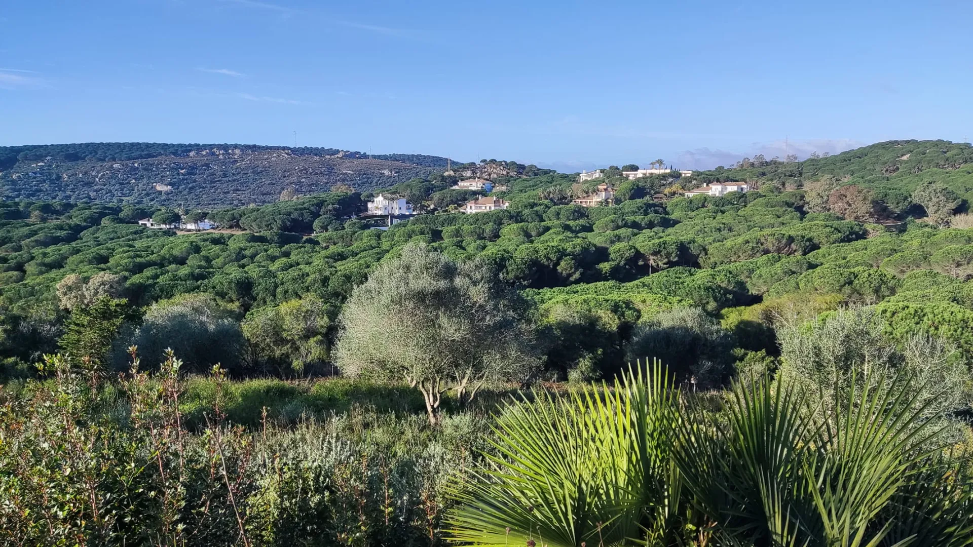 Almenara, parcela en venta de 6 dormitorios