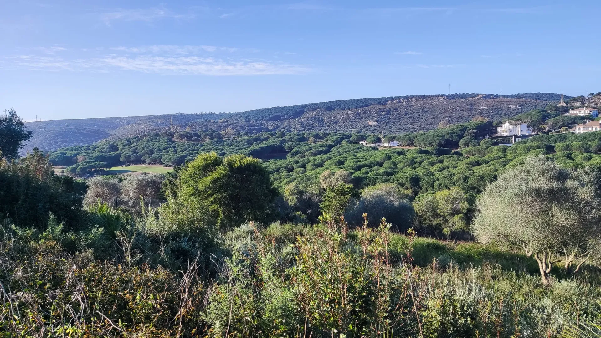Almenara, parcela en venta de 6 dormitorios