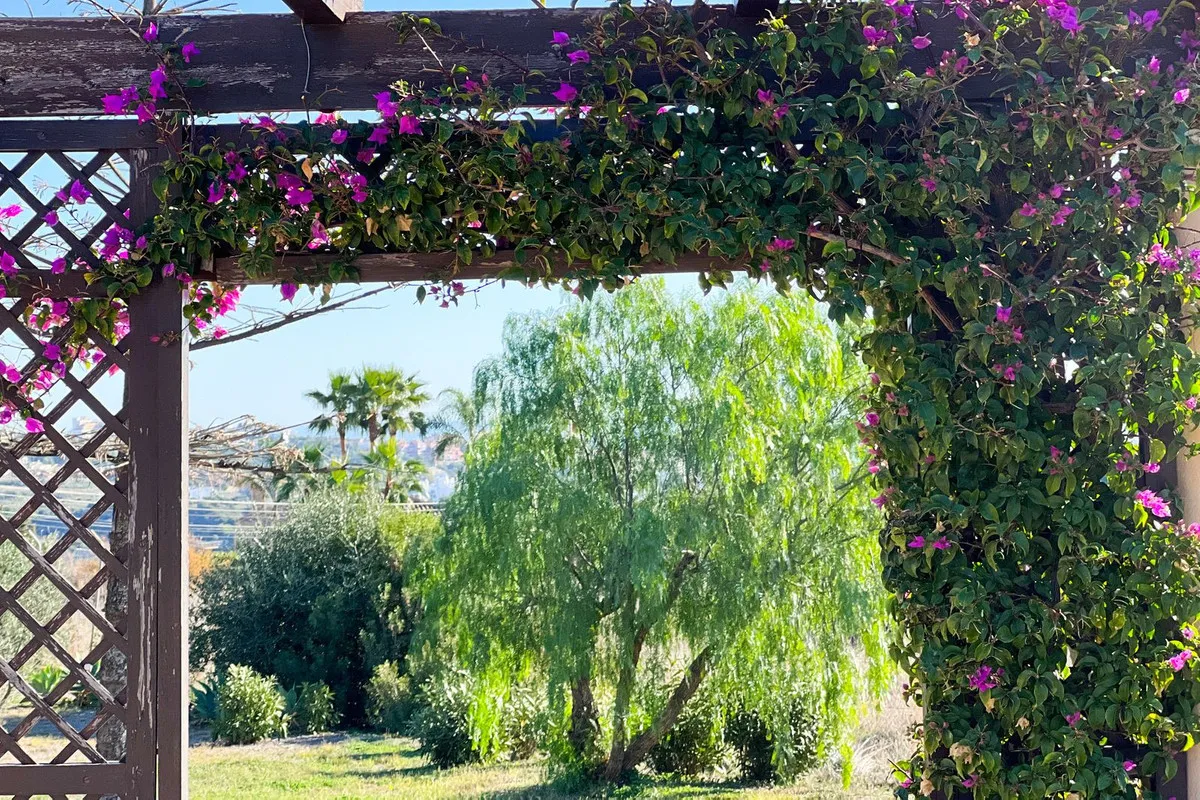 Buy Estepona 4 bedrooms villa