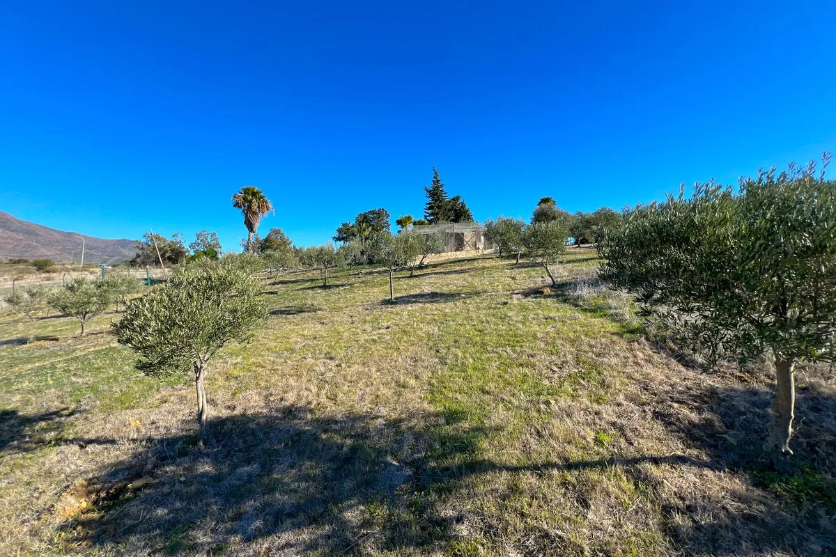 Buy Estepona 4 bedrooms villa