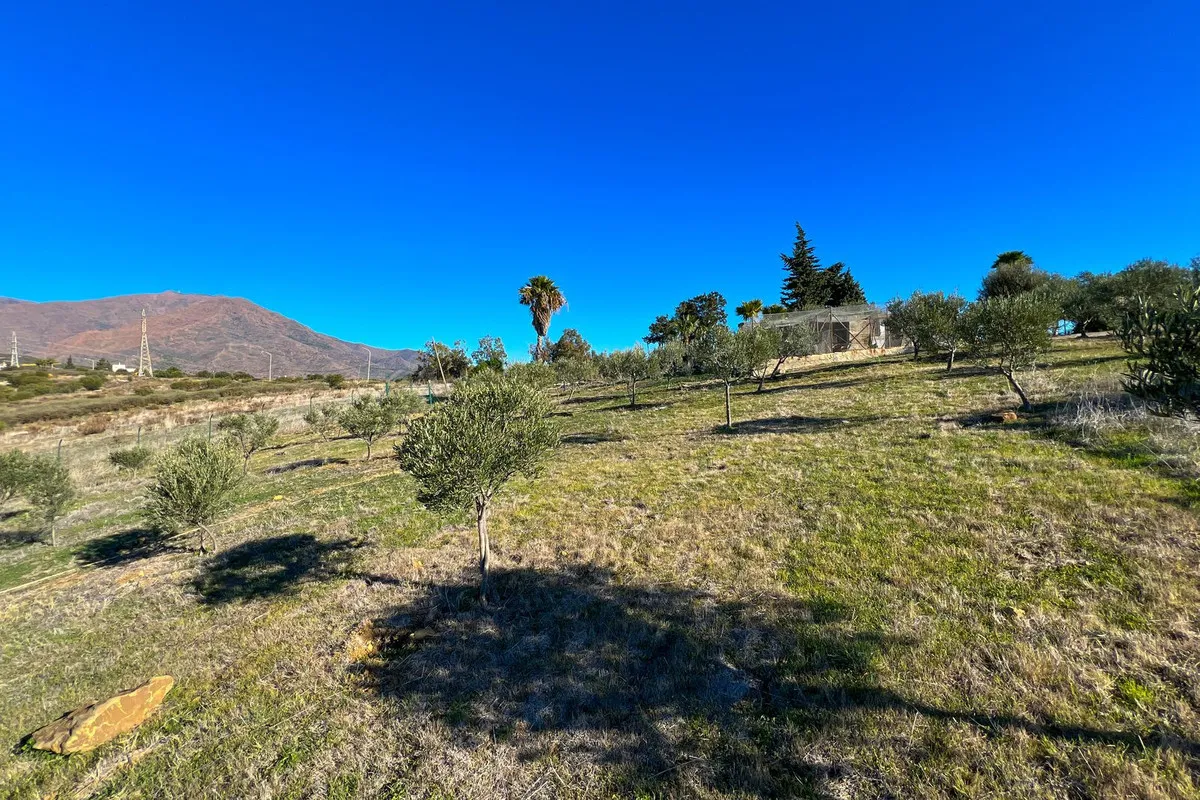 Buy Estepona 4 bedrooms villa