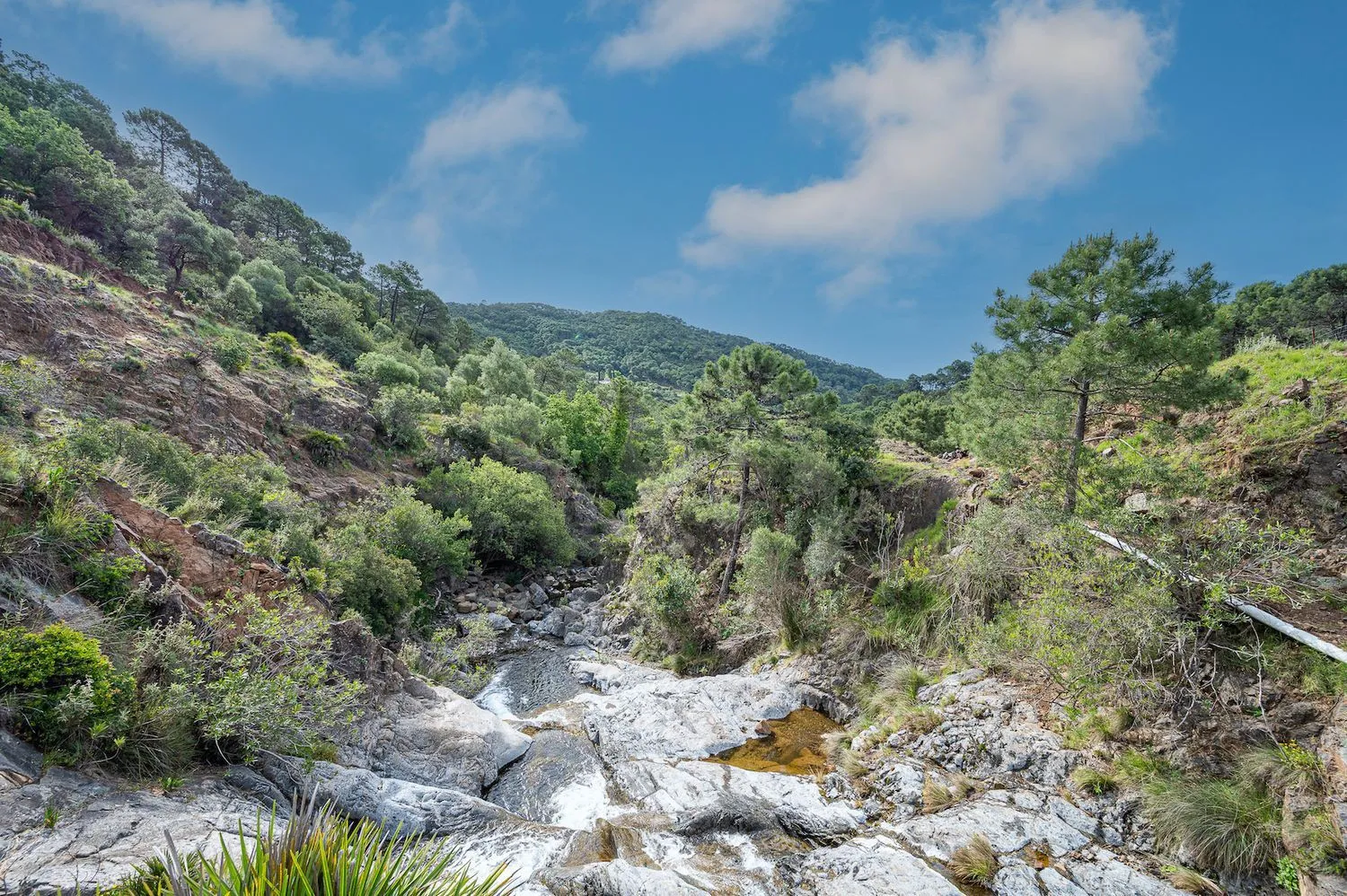 Se vende casa de campo en Altos de Estepona de 4 dormitorios