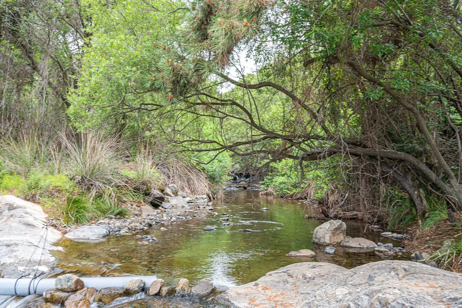 Se vende casa de campo en Altos de Estepona de 4 dormitorios