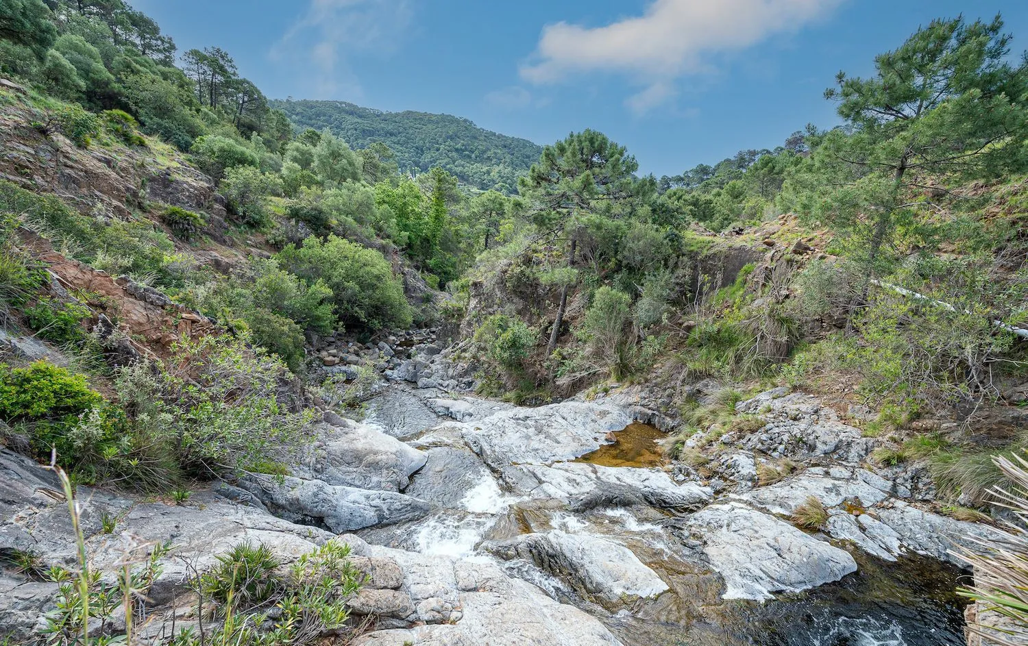 Se vende casa de campo en Altos de Estepona de 4 dormitorios