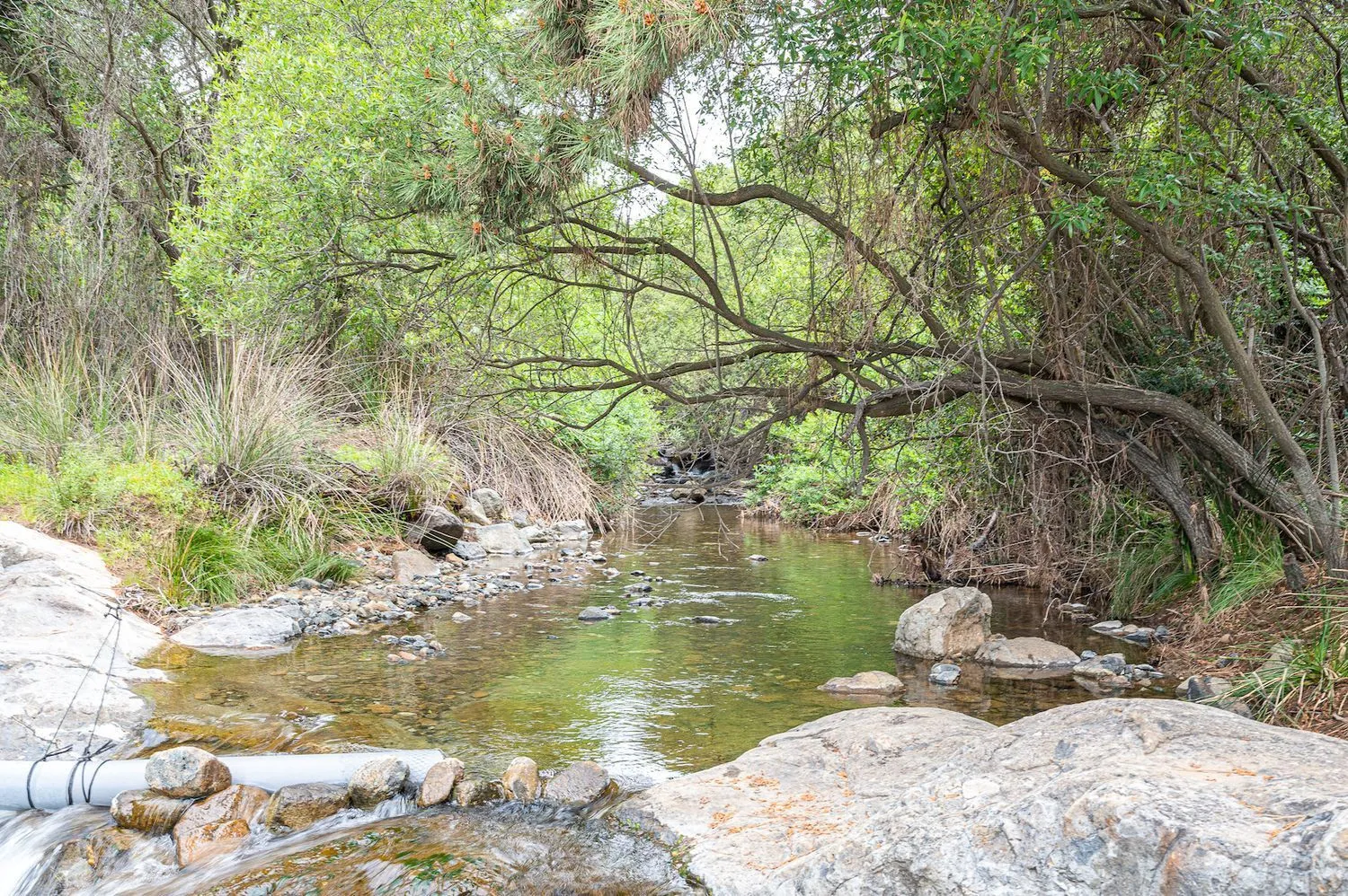 Se vende casa de campo en Altos de Estepona de 4 dormitorios