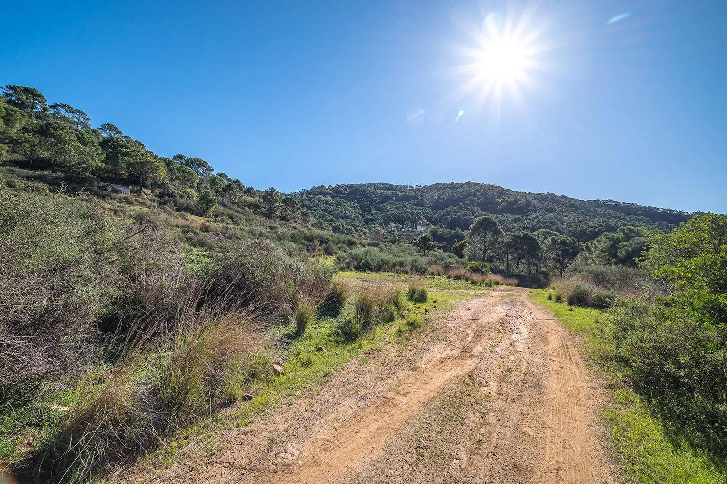 Se vende casa de campo en Altos de Estepona de 4 dormitorios