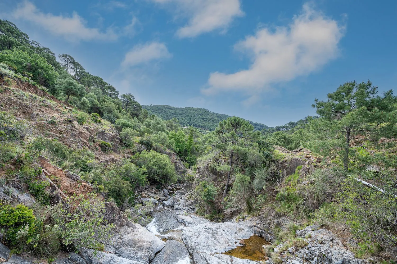 Se vende casa de campo en Altos de Estepona de 4 dormitorios