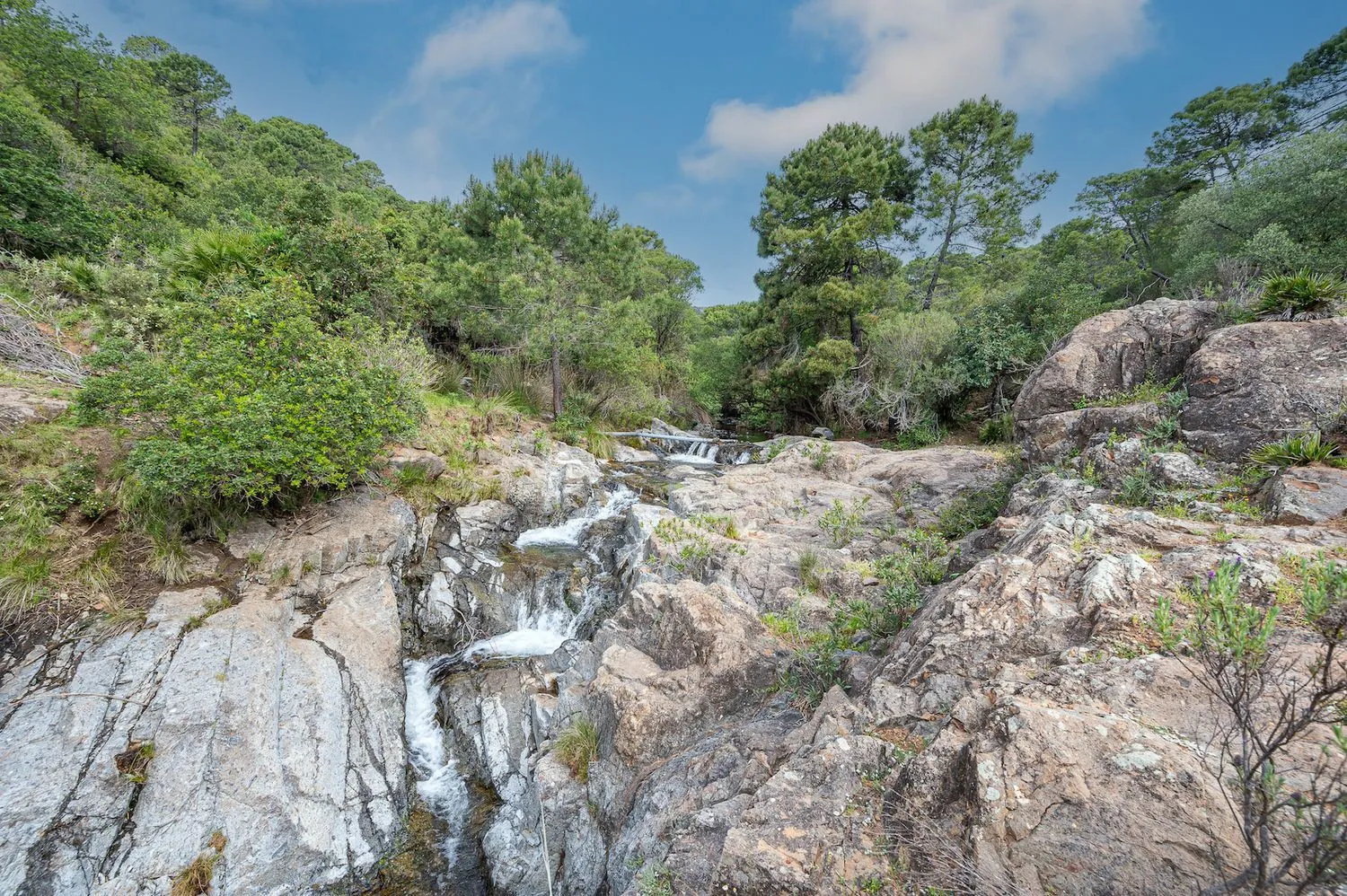 Se vende casa de campo en Altos de Estepona de 4 dormitorios