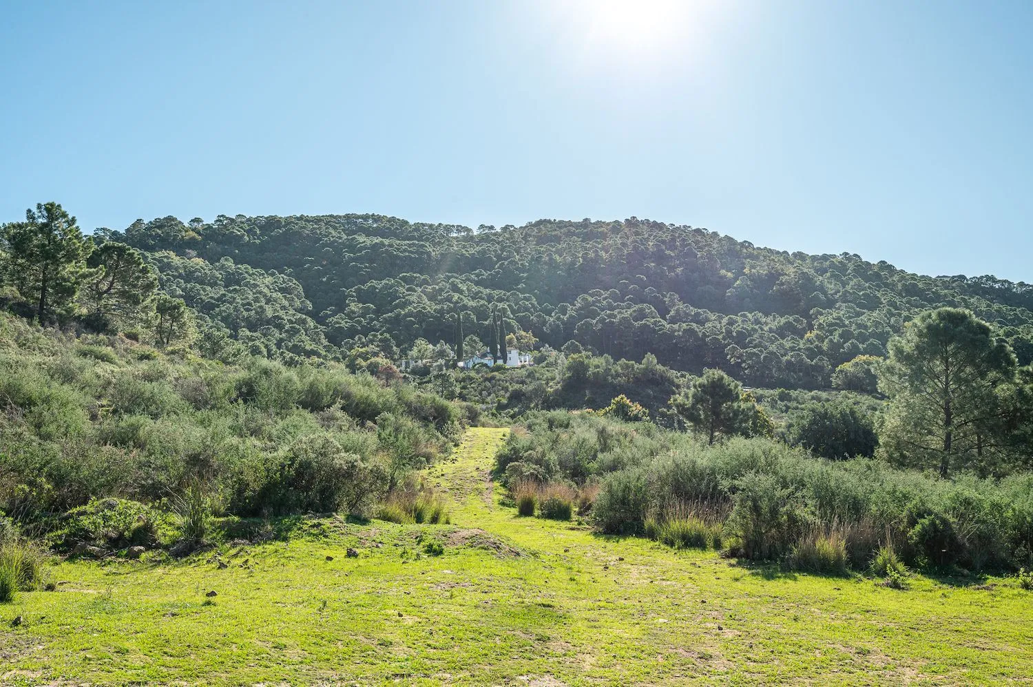 Se vende casa de campo en Altos de Estepona de 4 dormitorios