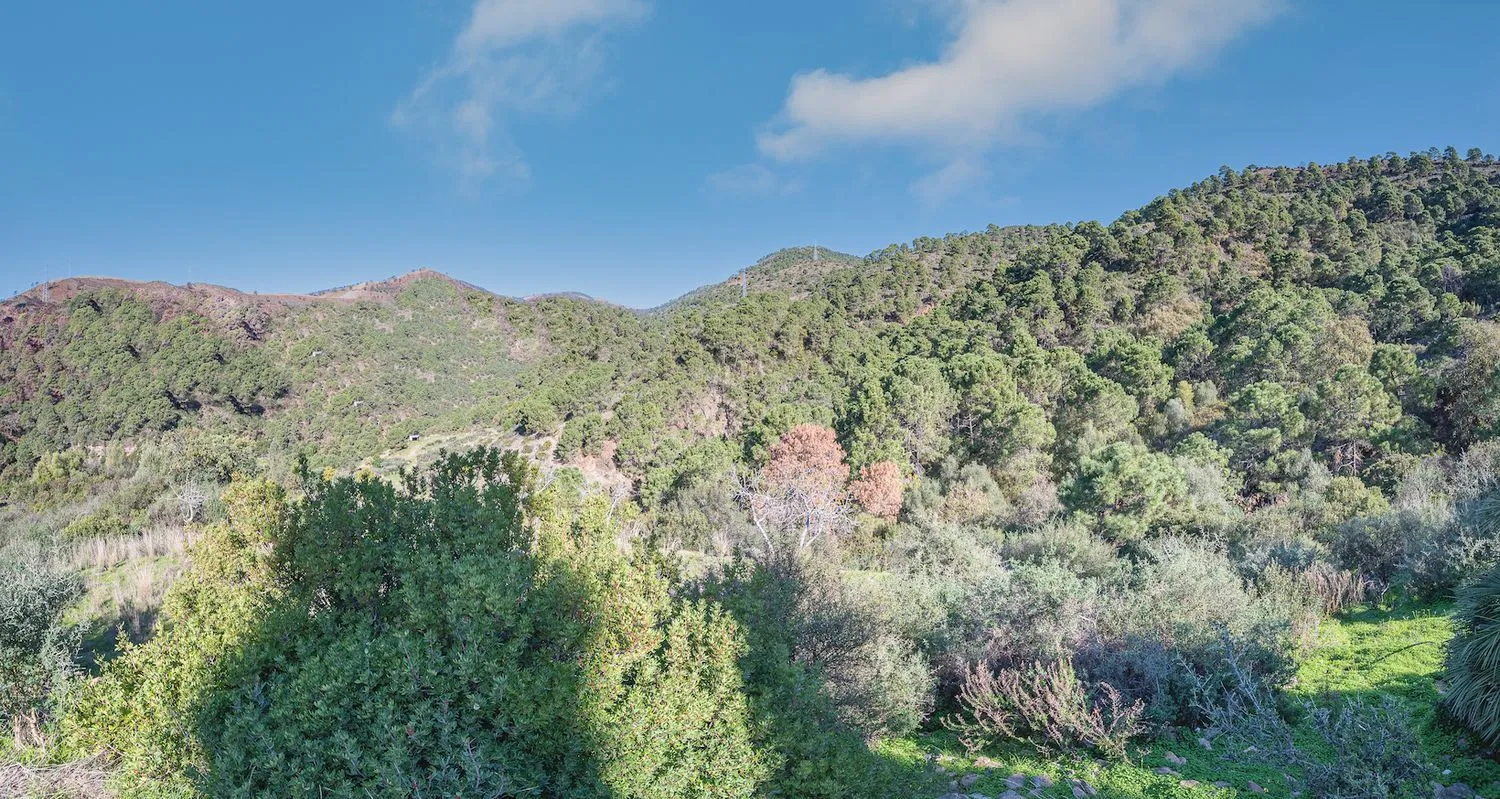 Se vende casa de campo en Altos de Estepona de 4 dormitorios