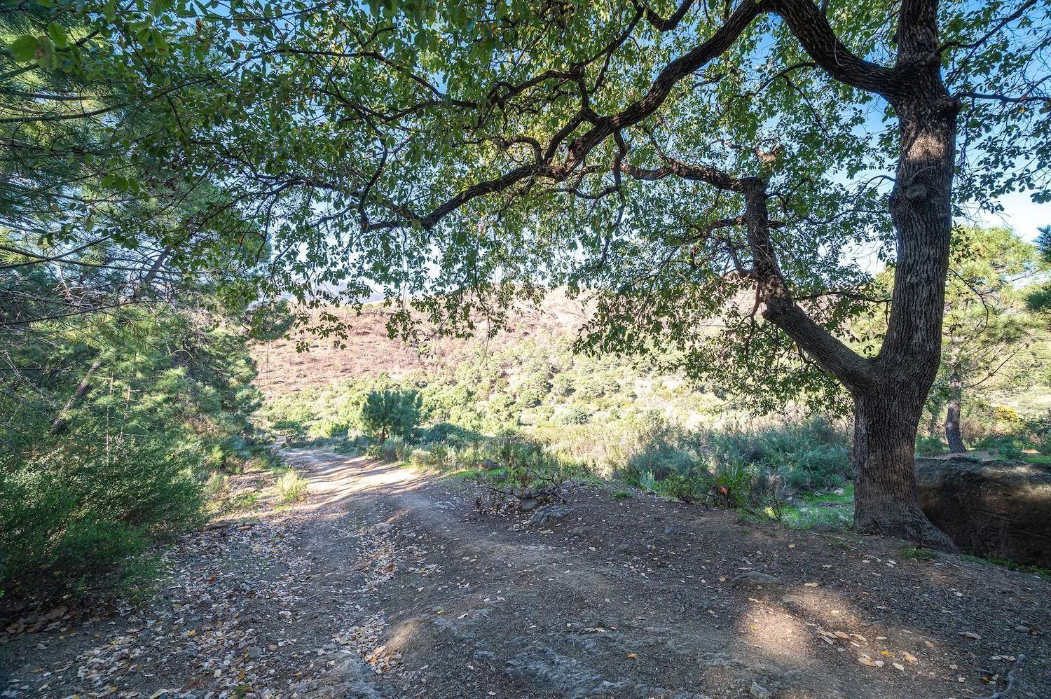 Se vende casa de campo en Altos de Estepona de 4 dormitorios
