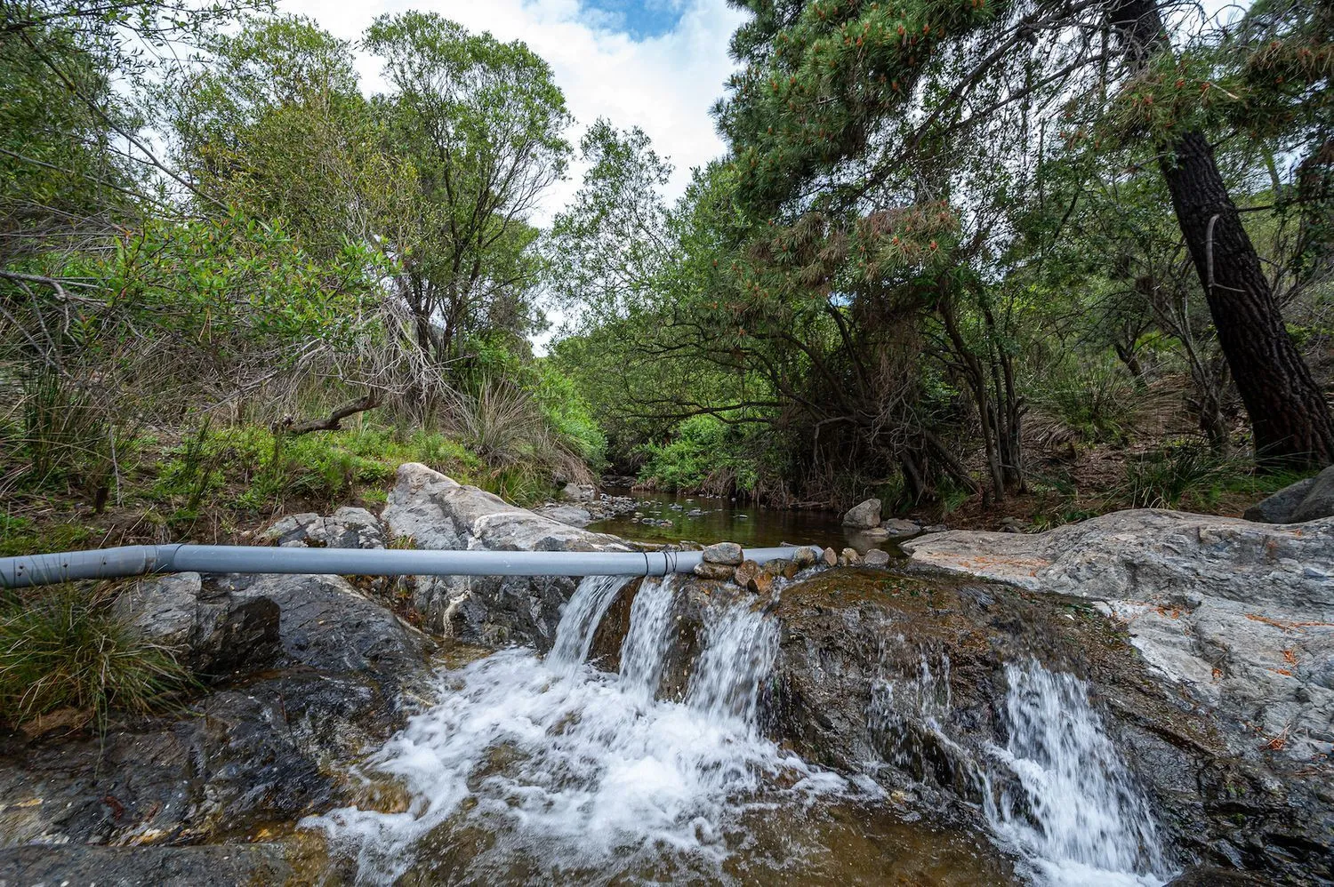Se vende casa de campo en Altos de Estepona de 4 dormitorios