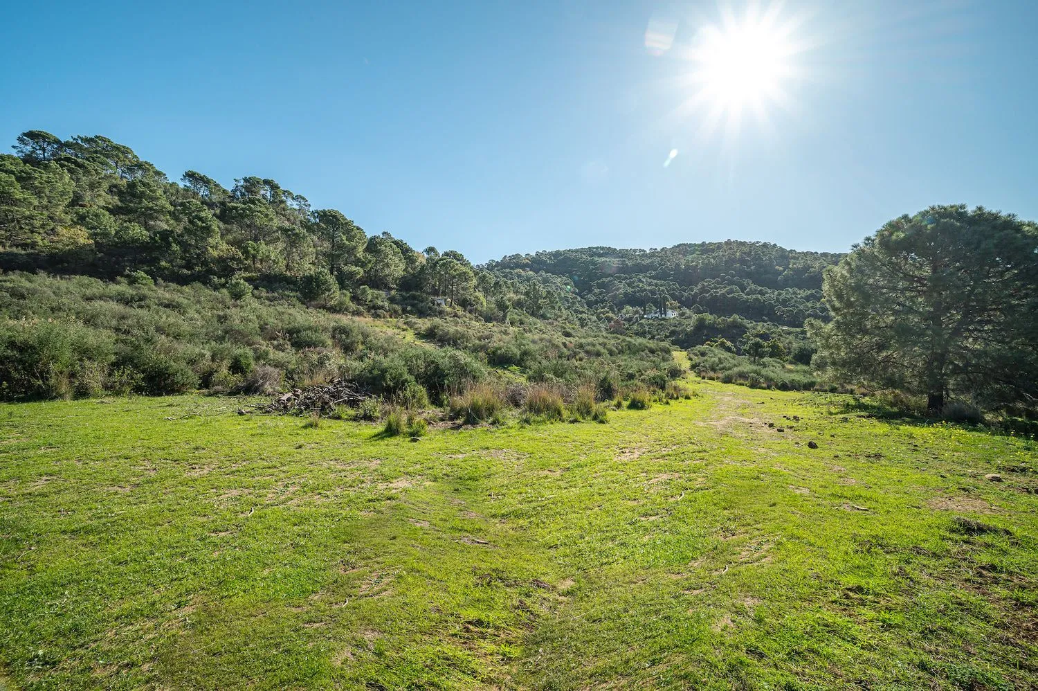 Se vende casa de campo en Altos de Estepona de 4 dormitorios