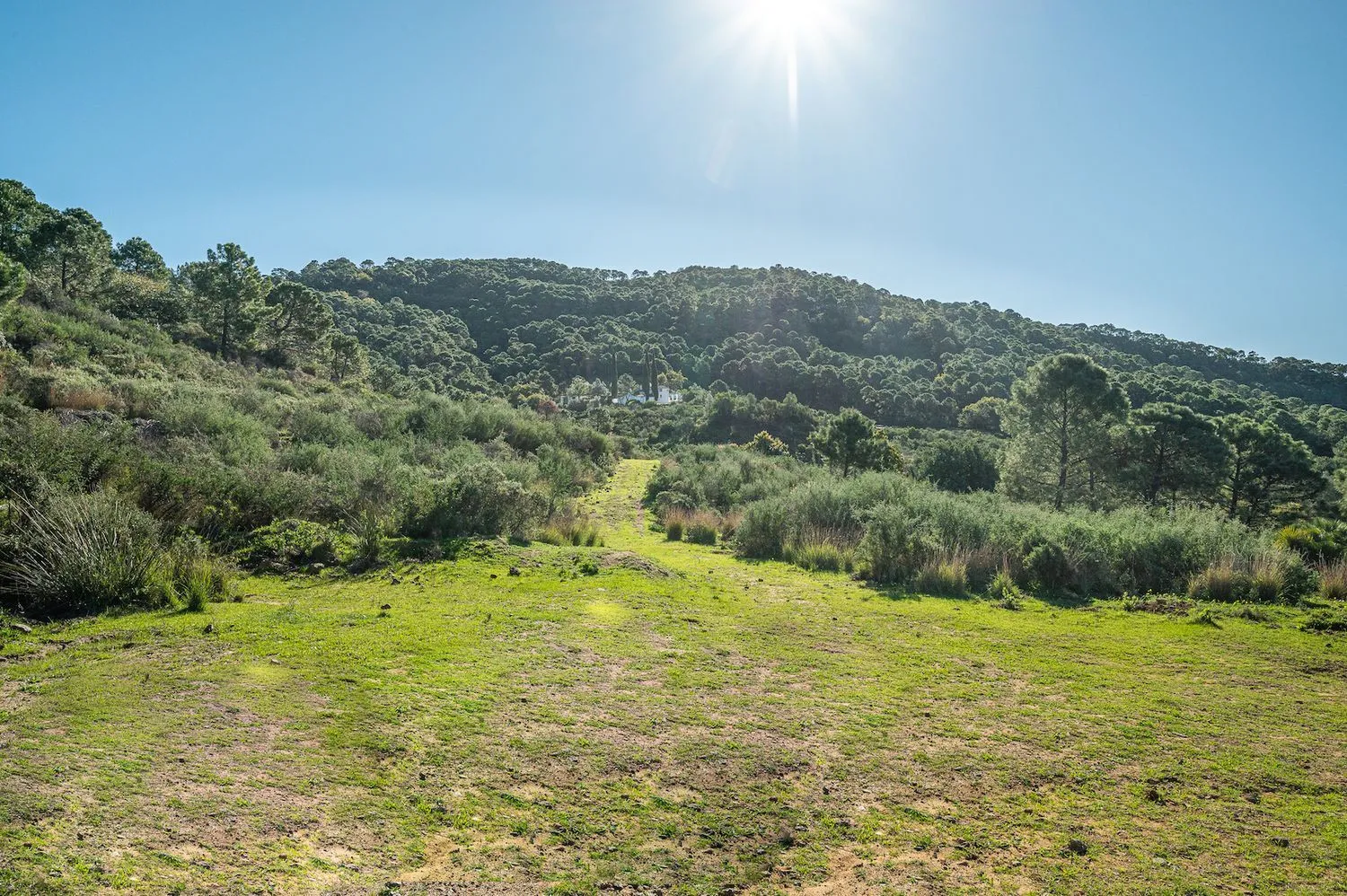 Se vende casa de campo en Altos de Estepona de 4 dormitorios