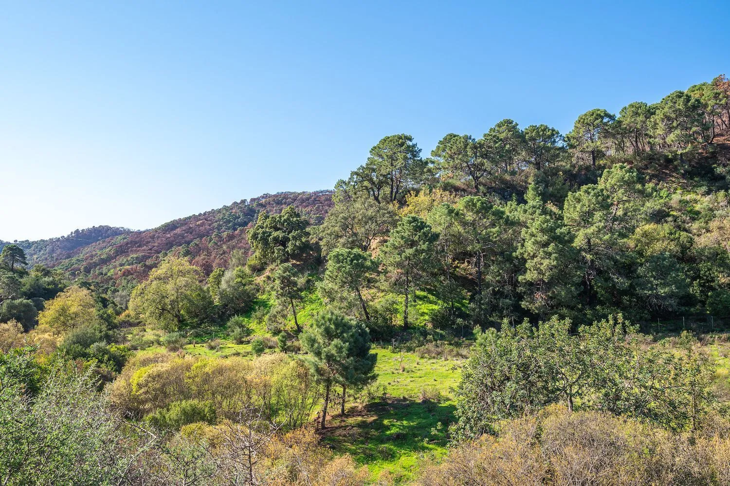Se vende casa de campo en Altos de Estepona de 4 dormitorios