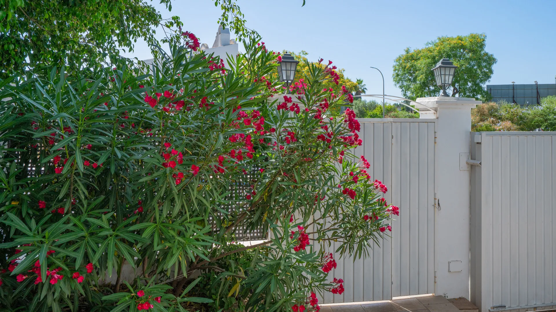 Hacienda las Chapas semi detached villa for sale