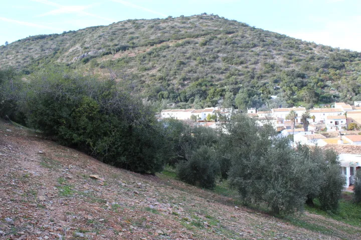 Algodonales house for sale