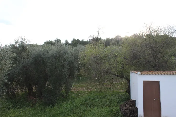 Algodonales house for sale
