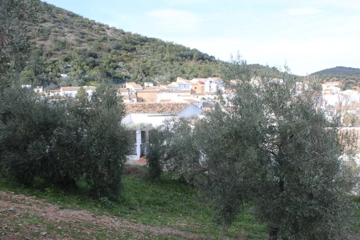 Algodonales house for sale