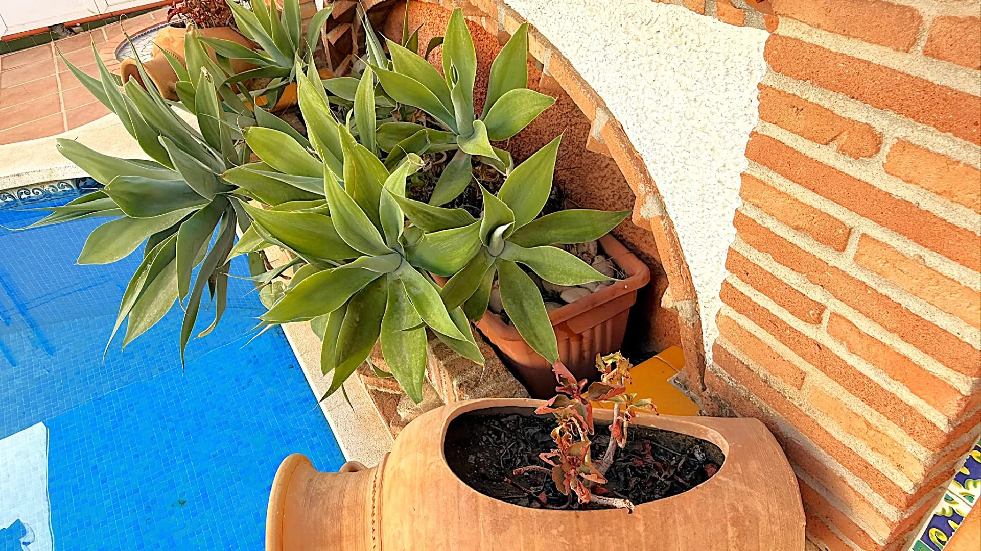 Estepona house for sale
