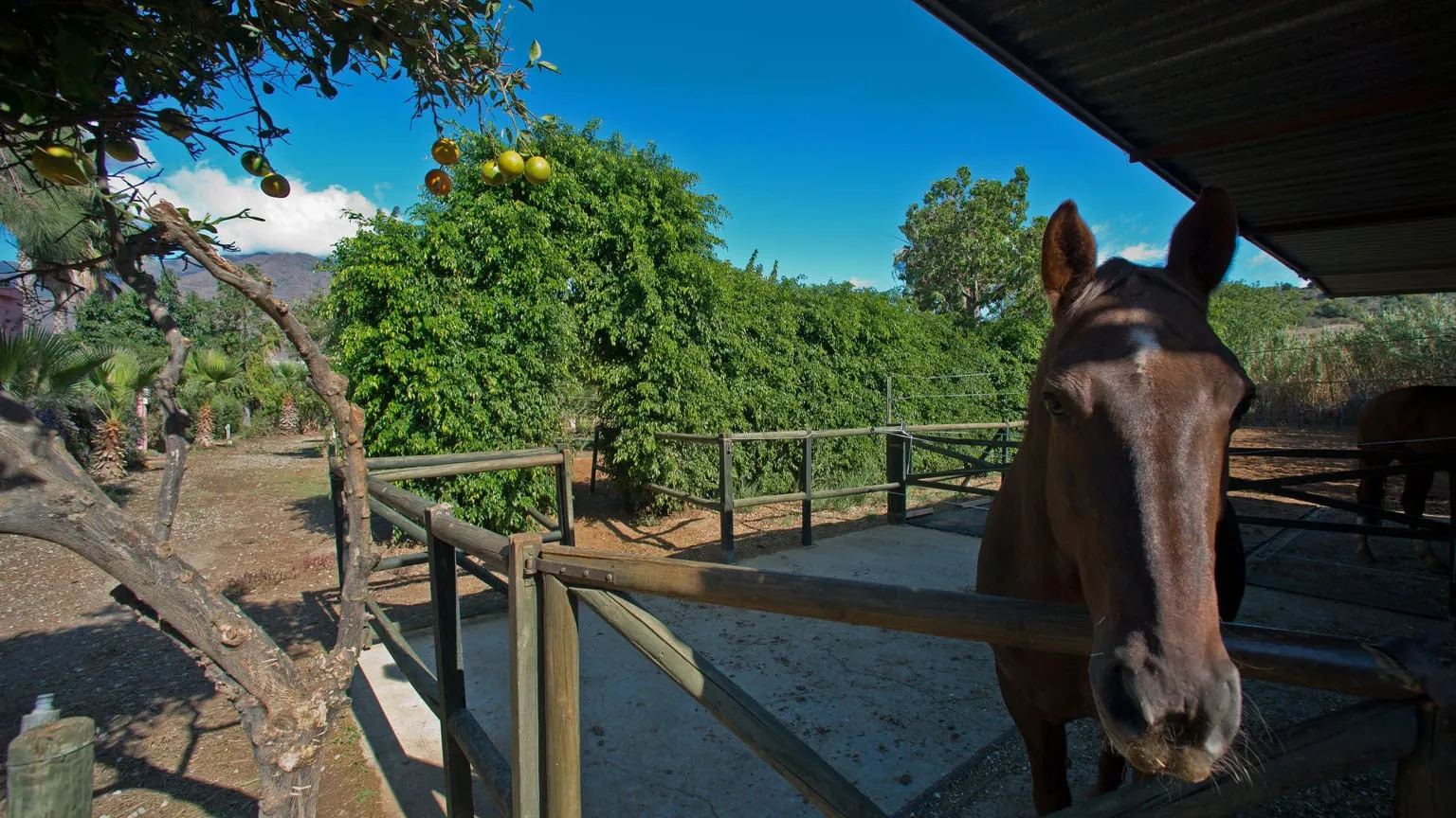 Estepona, casa de campo a la venta