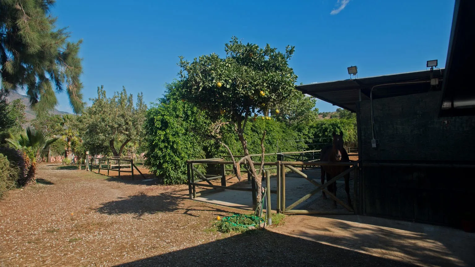 Estepona, casa de campo a la venta