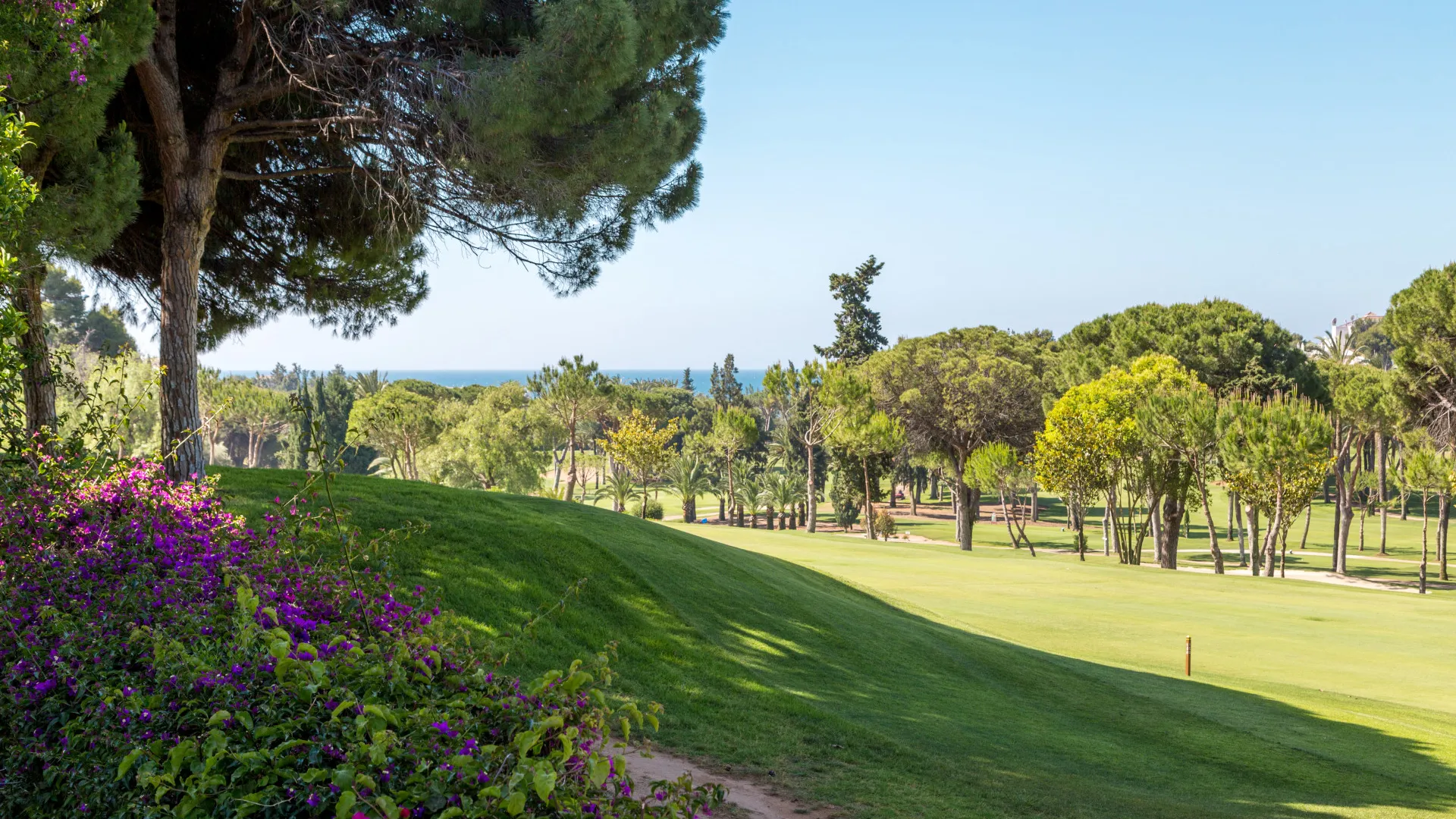 Villa en venta con 6 dormitorios en Rio Real Golf