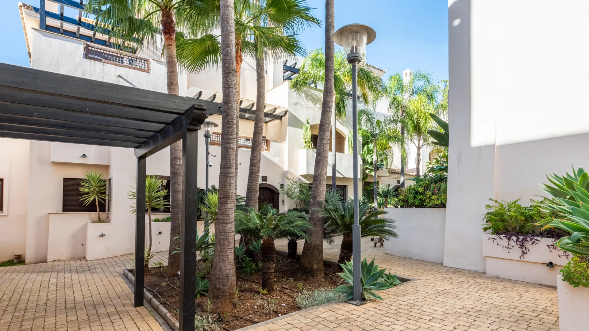 Ground floor apartment for sale in Medina de Banús with 2 bedrooms