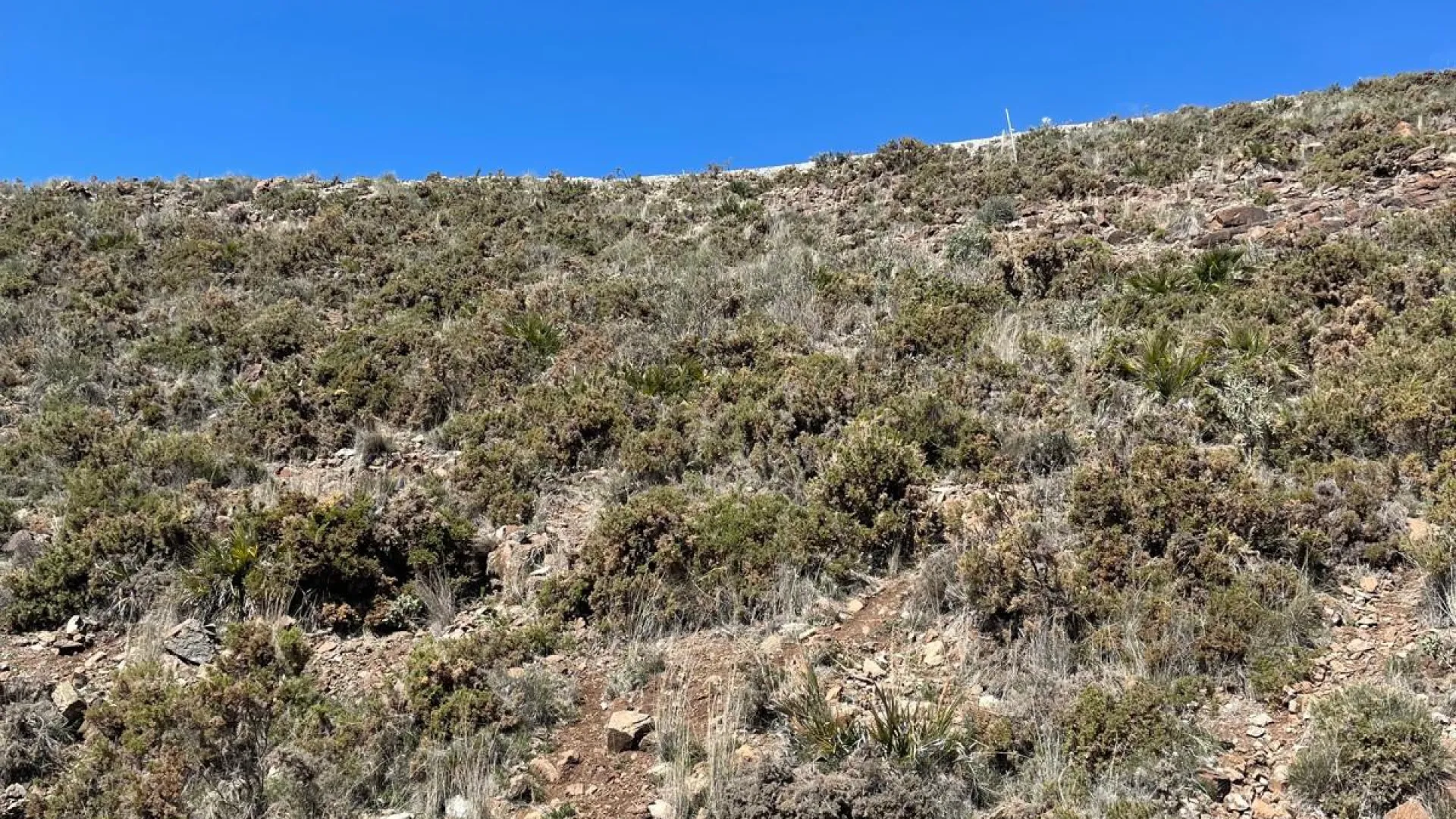 Plot for sale in Real de La Quinta