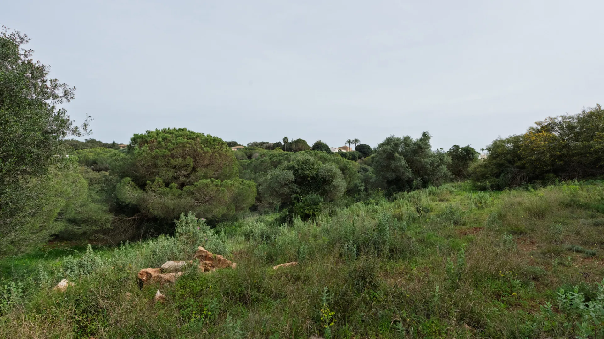 Plot for sale in Sotogrande