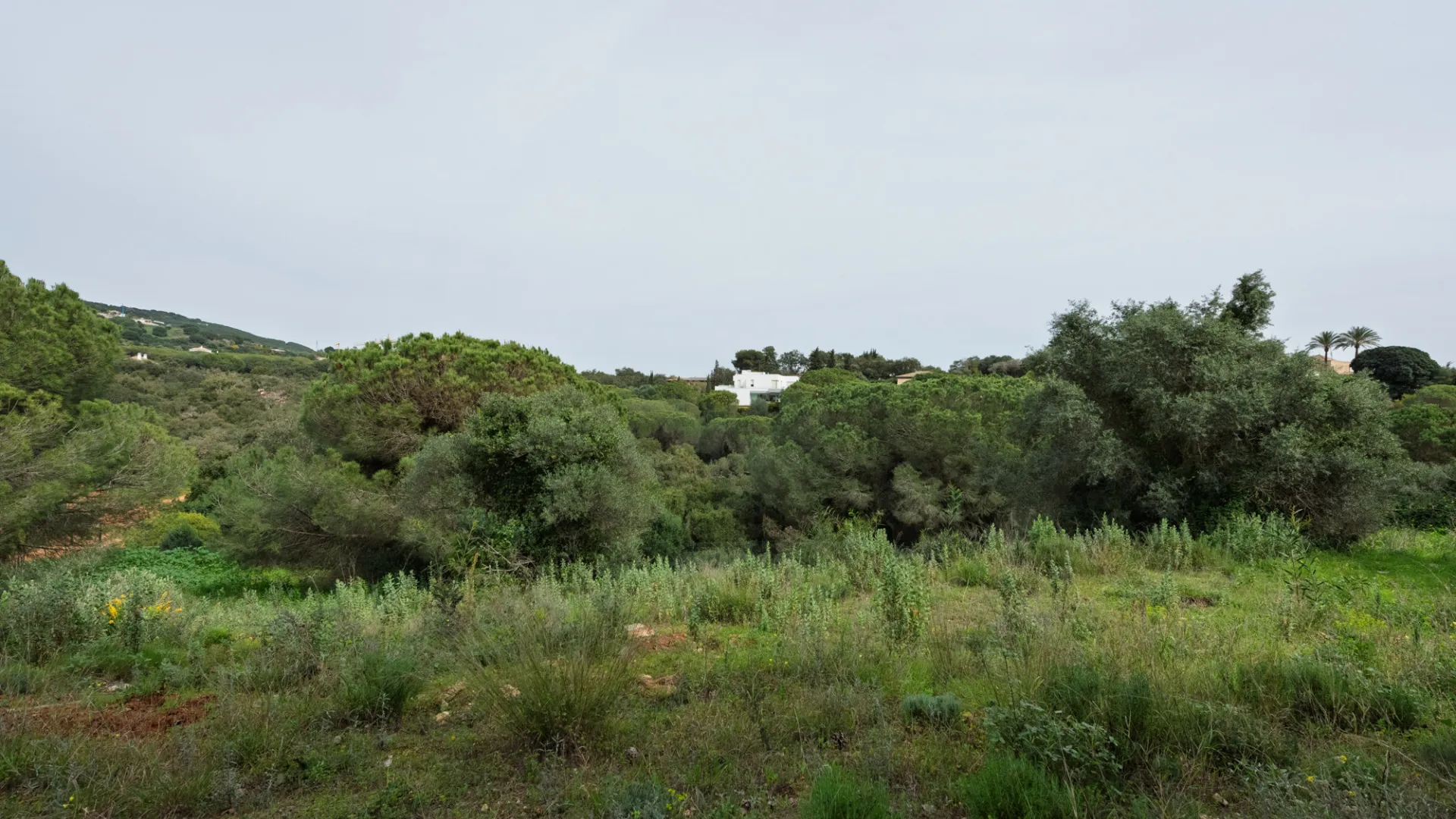 Plot for sale in Sotogrande