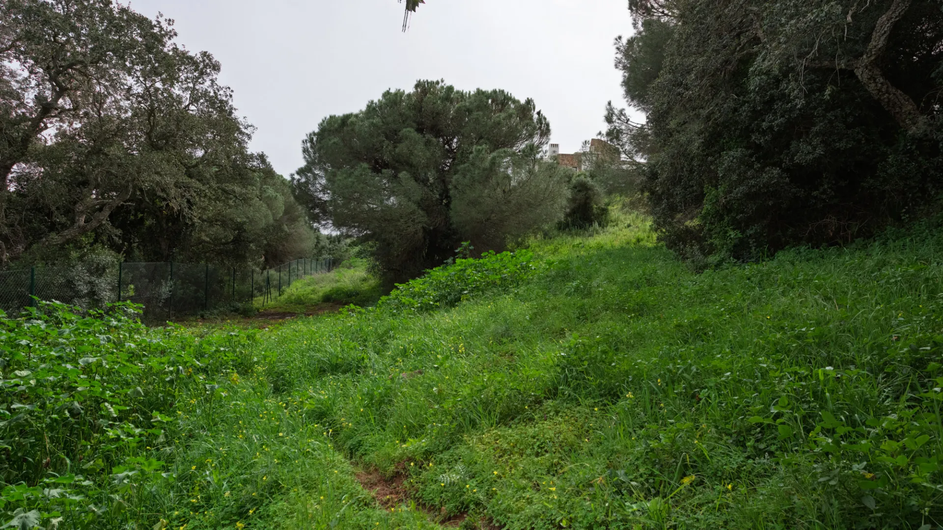 Plot for sale in Sotogrande