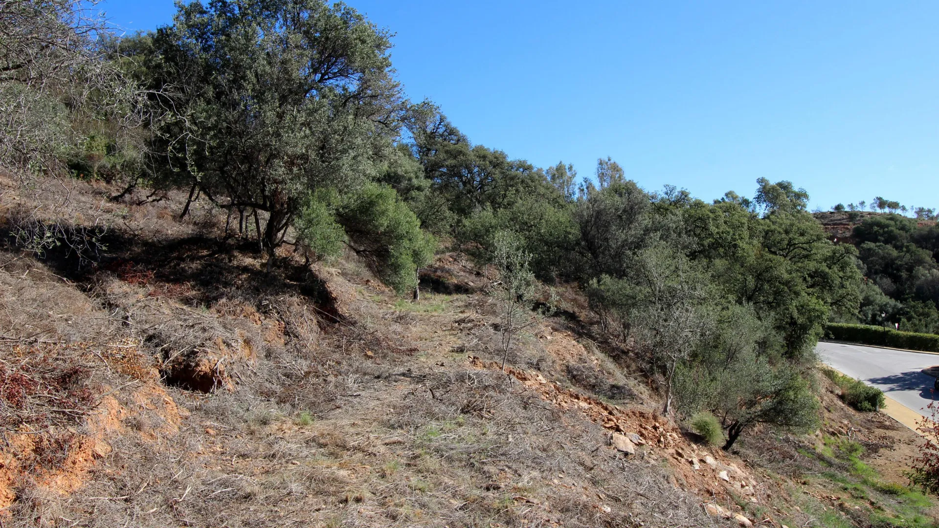 Parcela a la venta en Los Altos de los Monteros