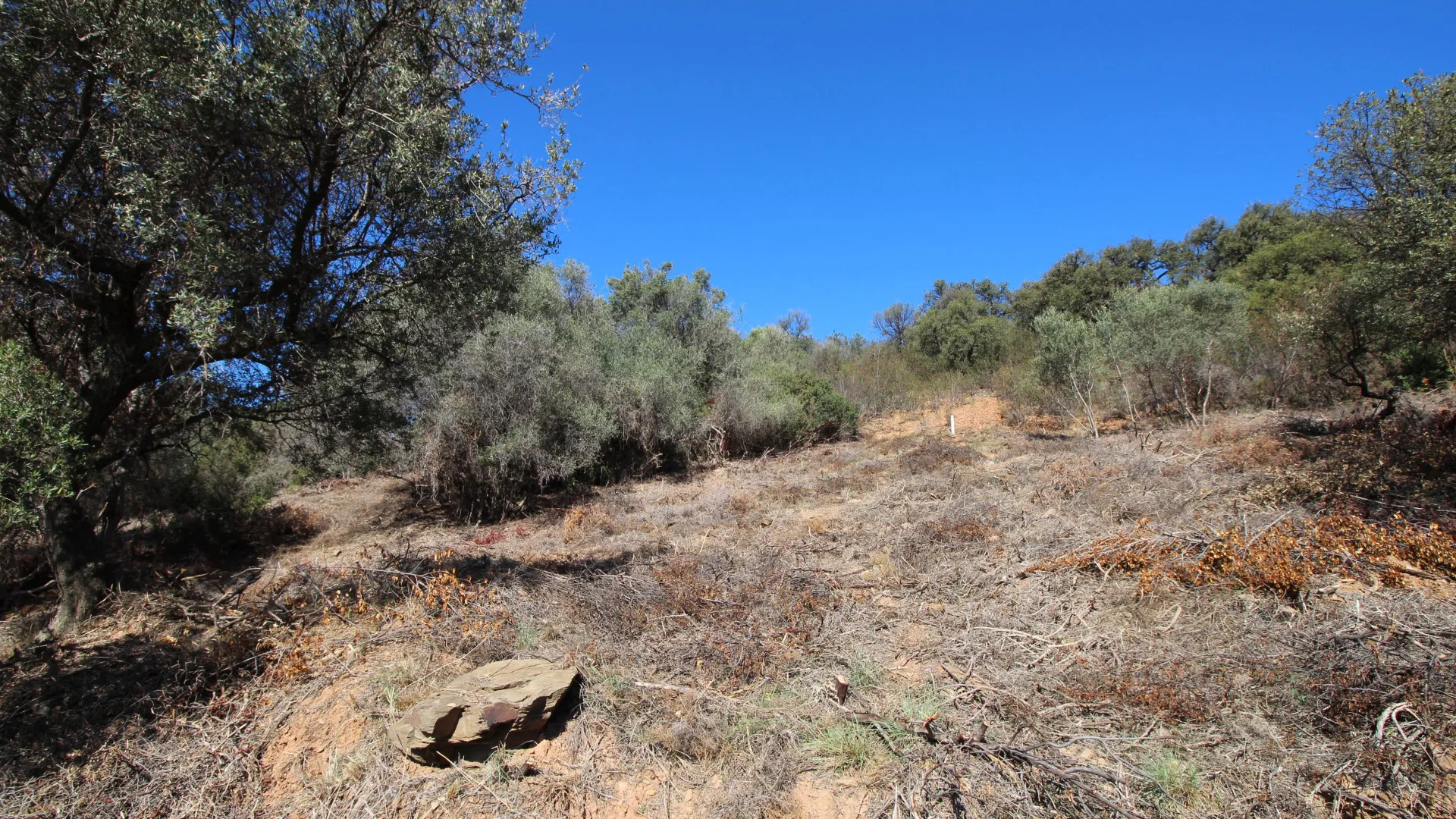 Parcela a la venta en Los Altos de los Monteros