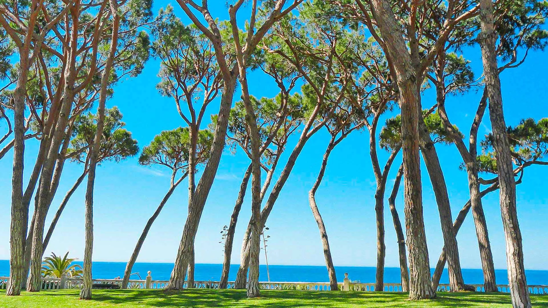 1 bedroom apartment for sale in Alhambra del Mar