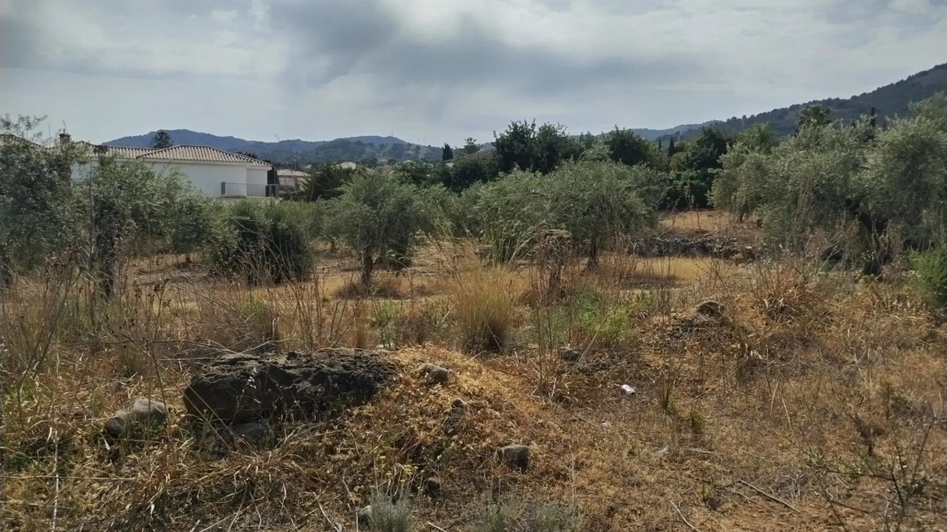 Parcela a la venta en Alhaurin de la Torre