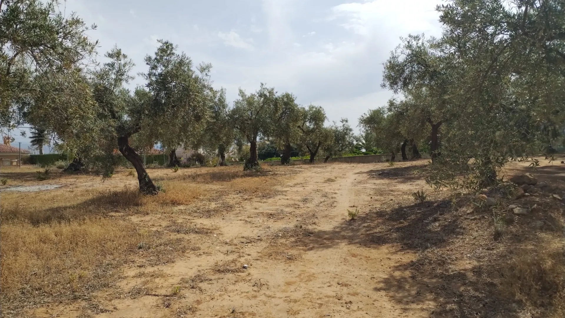 Parcela a la venta en Alhaurin de la Torre