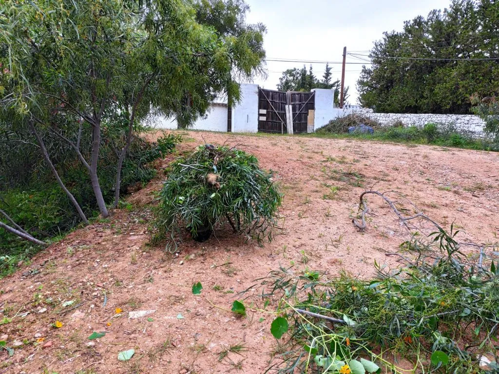 Plot for sale in Rio Verde