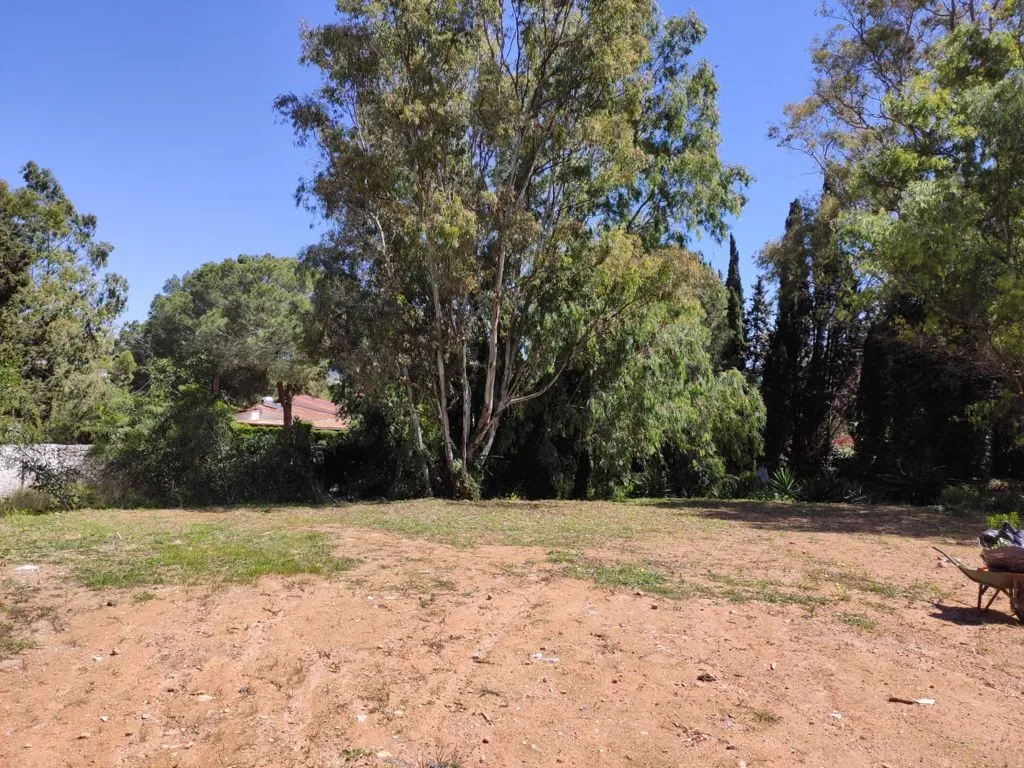 Plot for sale in Rio Verde