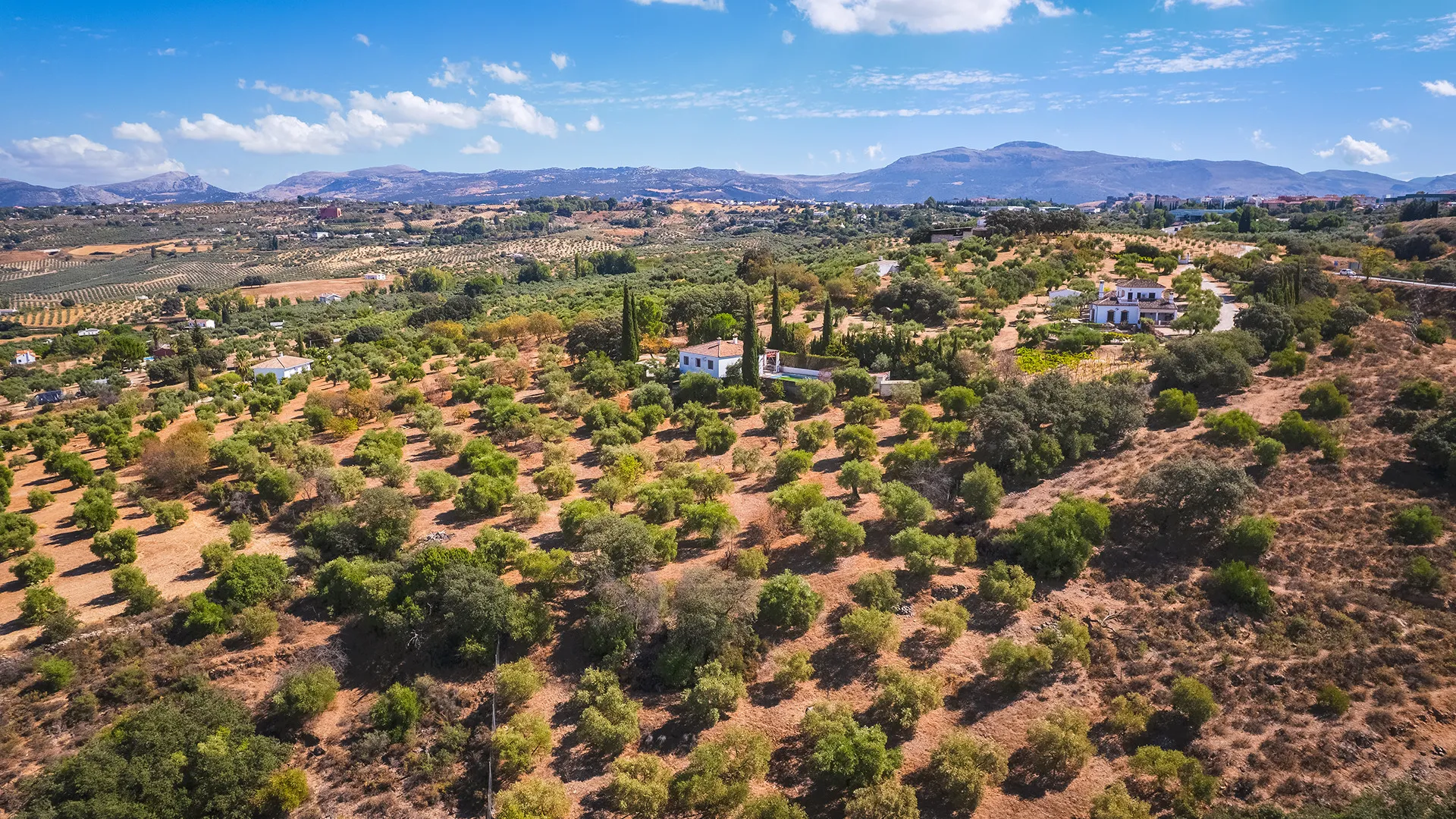 Ronda, finca de 4 dormitorios en venta