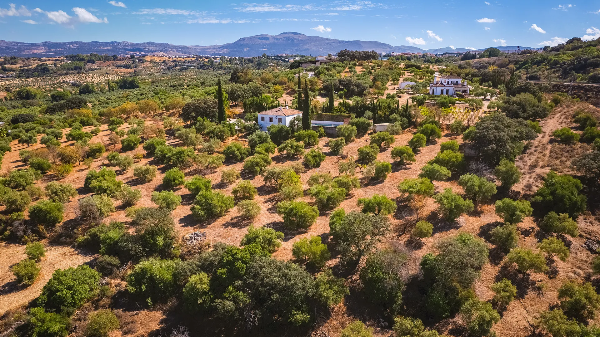 Ronda, finca de 4 dormitorios en venta