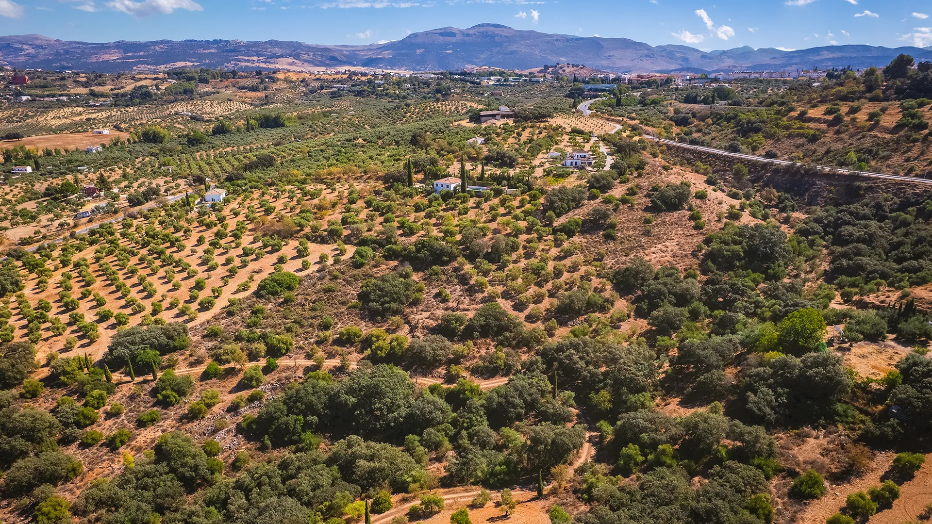 Ronda, finca de 4 dormitorios en venta