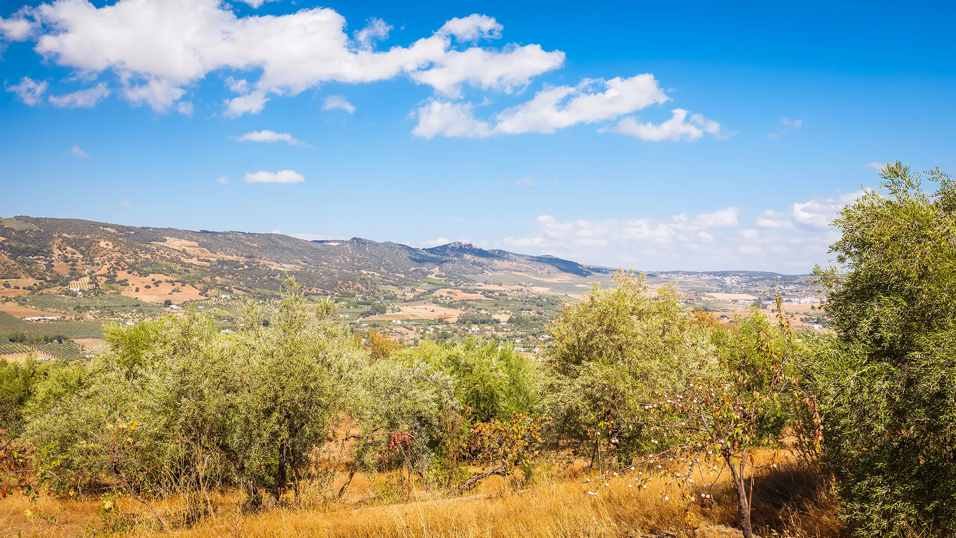 Ronda, finca de 4 dormitorios en venta